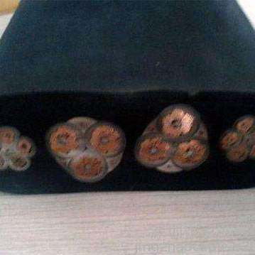 特种钢丝扁电缆