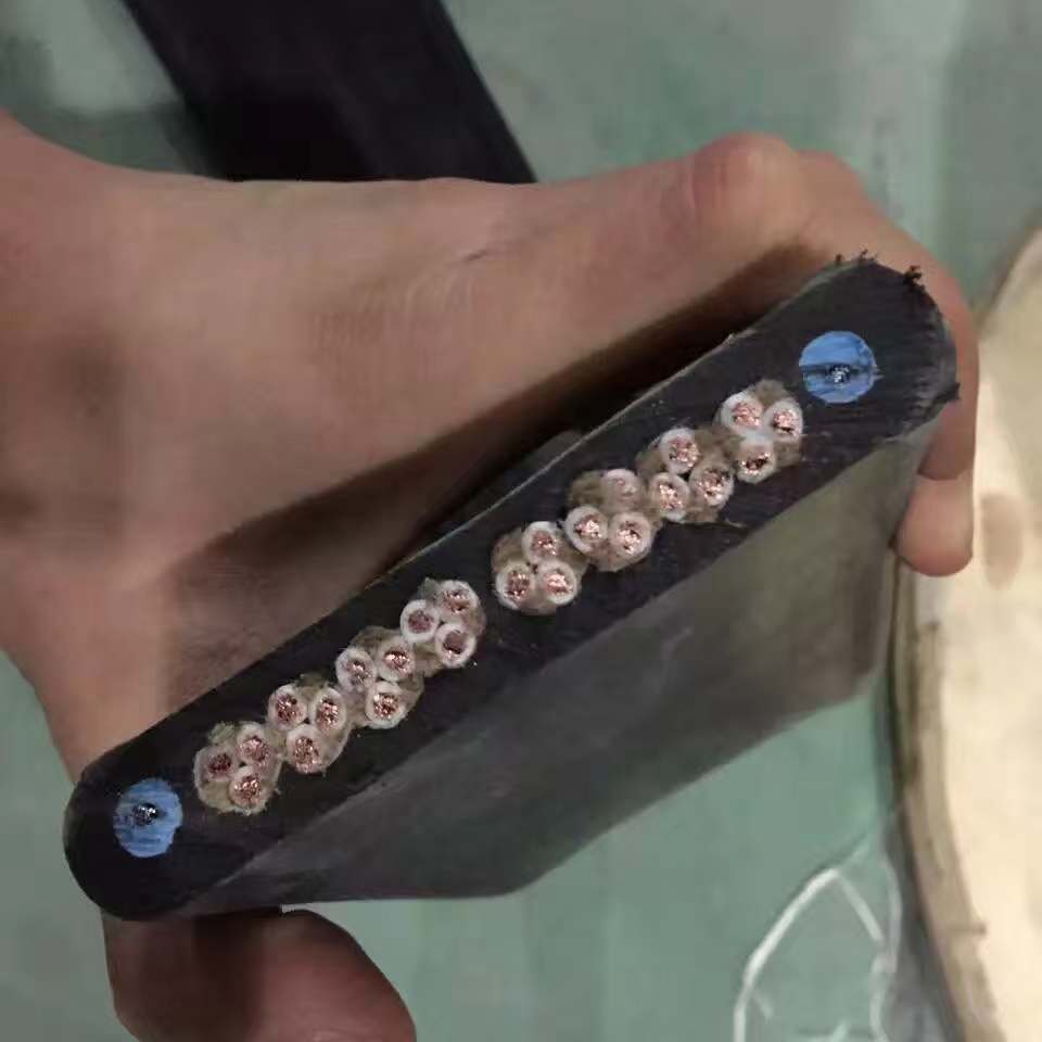 特种钢丝扁电缆