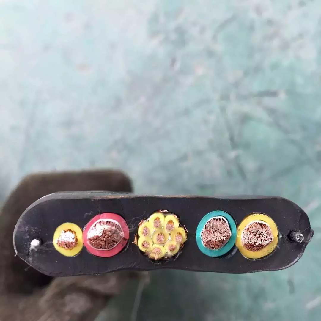 特种钢丝扁电缆