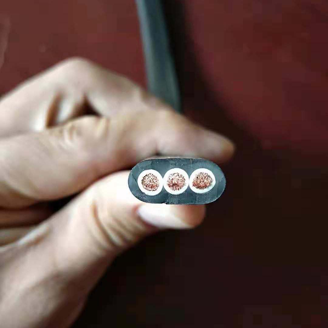 特种钢丝扁电缆